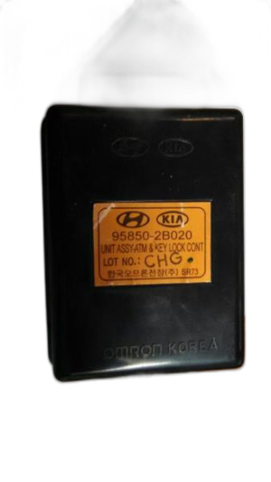 2009 Hyundai Santa Fe Theft Lock Control Module (Used OEM)