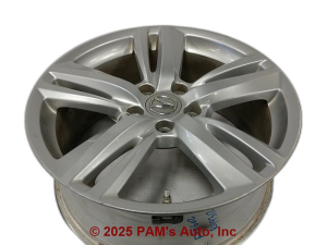 2013-2015 Acura RDX 10-Spoke Silver Painted Alloy Wheel (Used OEM)