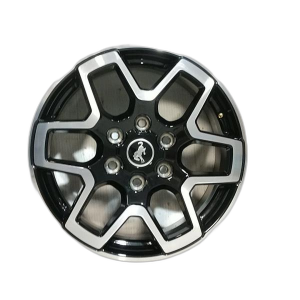 2021-2025 Ford Bronco Black 18-Inch 6 Double Spoke Machined Black Alloy Wheel (New OEM)