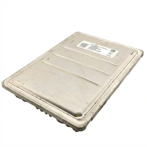 OEM Engine Control Module (ECM) for 2018-2019 General Motors - Front, Left (Driver) (OEM)