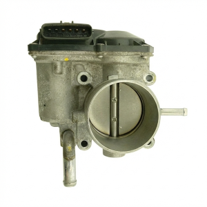 OEM Water Cooled Fuel Injection Throttle Body Assembly for 2012-2019 Hyundai & Kia
