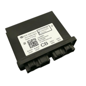 2013-2014 Chevrolet Cruze Keyless Entry Theft Control Module (Used OEM)