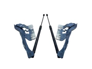 2022-2024 Hyundai Ioniq 5 Hood Hinge and Support Lift Cylinder Set - Right (Passenger) (Used OEM)
