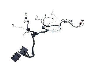 2021-2025 Ford Bronco Sport Front Engine Bay Wiring Harness (Used OEM)