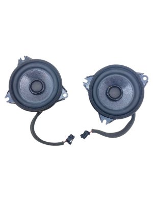 2022-2024 Lucid Air Brown Mid-Tone Speaker Pair (Used OEM)