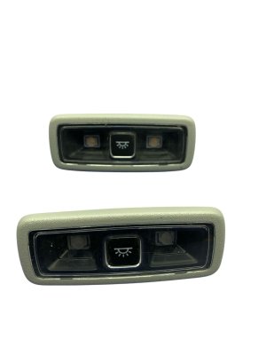 2022-2024 Ford F-150 Lightning Gray Headliner Lamp Set (Used OEM)