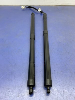 2019-2025 Honda Passport Power Liftgate Lift Support Strut Set (Used OEM)