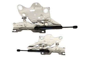 2019-2024 BMW X7 Hood Hinge with Lift Support Strut Set - Front, Right (Passenger) (Used OEM)