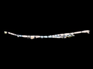 2025-2026 Mazda CX-70 Roof Curtain Air Bag (Used OEM)