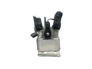 2021-2022 Karma GS-6 Battery Cooler (Used OEM)