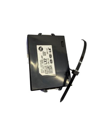 2020-2022 Hyundai Palisade Mood Lighting Control Module (Used OEM)