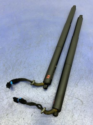 2018-2023 BMW X2 Power Liftgate Lift Support - Rear (Used OEM)