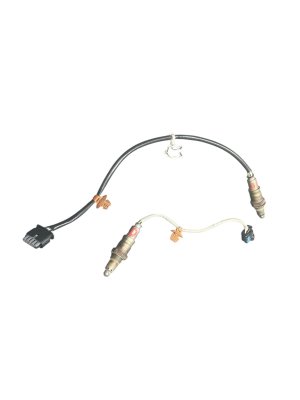2020-2022 Ford Escape Upstream and Downstream Oxygen Sensor Set (Used OEM)