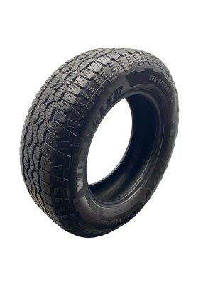 2008-2022 Buick Enclave 255/65R18 All Season Tire (Used OEM)