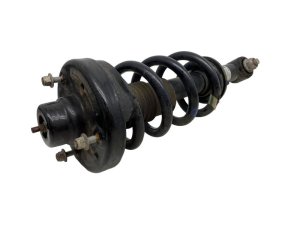 2018-2021 Lincoln Navigator Suspension Strut and Shock Assembly - Rear, Left (Driver) (Used OEM)