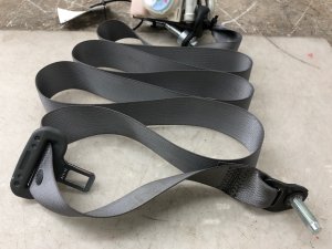 2022-2024 Lucid Air Seat Belt Assembly - Rear (Used OEM)