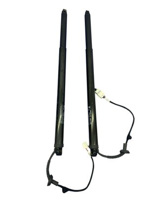 2025-2026 Nissan Murano Power Tailgate Liftgate Strut Set - Rear (Used OEM)