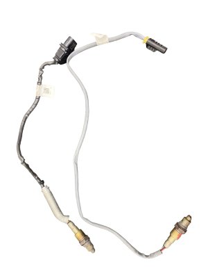 2020-2024 BMW X3 Upstream and Downstream Oxygen Sensor Pair (Used OEM)