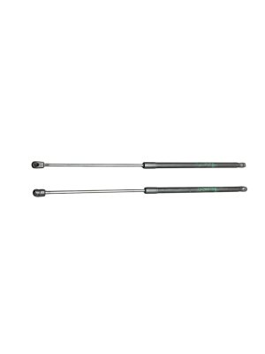 2019-2022 Toyota Avalon Hood Lift Support Strut Set (Used OEM)