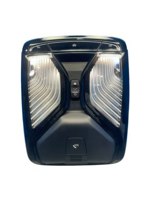  BMW 5 series Black Overhead Roof Console Dome Light Assembly (Used OEM)