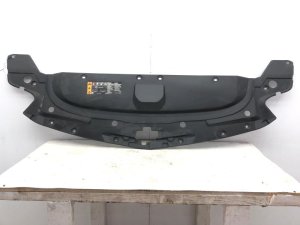 2016-2019 BMW 750i Radiator Cover Shutter Baffle (Used OEM)