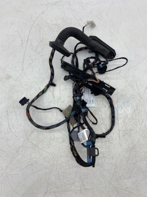 2008-2014 BMW X6 Door Wiring Harness - Rear (Used OEM)