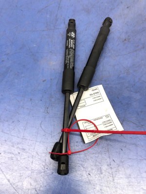 2020-2025 Hyundai Palisade Hood Lift Support Strut Set - Front (Used OEM)