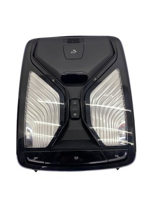 2018-2024 BMW X3 Overhead Console with Dome Light (Used OEM)