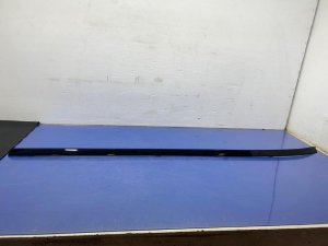 2017-2023 Jaguar F-Pace Ebony (Black) Roof Drop Molding Cover Panel (Used OEM)