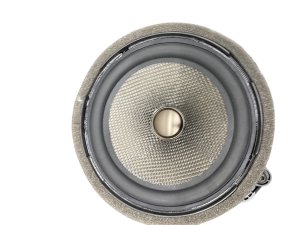 2023-2024 Fisker Ocean Rear Door Audio Speaker (Used OEM)