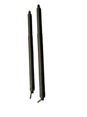 2021-2025 Nissan Rogue Power Tailgate Lift Motor Strut Pair (Used OEM)
