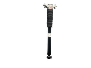  Tesla Model 3 Rear Suspension Strut and Coil Spring Assembly - Left (Driver) (Used OEM)
