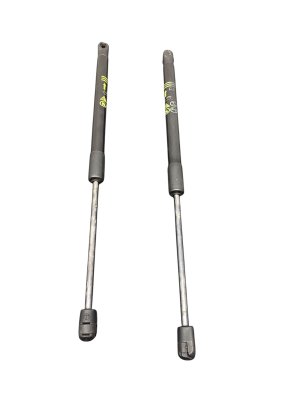 2019-2024 Chevrolet Silverado 1500 Hood Lift Support Cylinder Set (Used OEM)