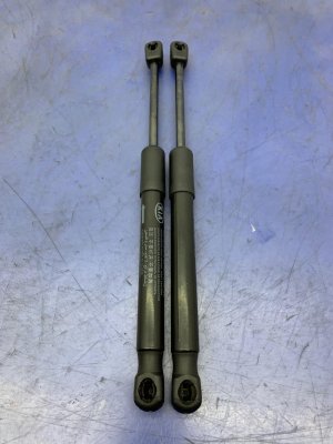 2018-2023 Kia Stinger Hood Shock Strut Lift Cylinder Set - Front (Used OEM)
