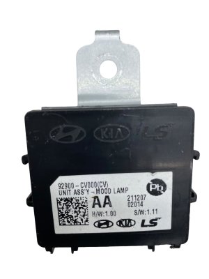2022-2024 Kia EV6 Mood Lamp Control Module (Used OEM)
