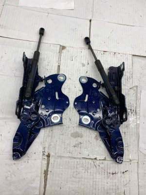 2019-2025 BMW X7 Hood Hinge and Support Lift Cylinder Set - Front, Left (Driver) (Used OEM)