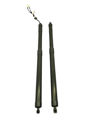 2023-2025 Honda Pilot Power Tailgate Lift Motor Support Strut Set - Rear (Used OEM)