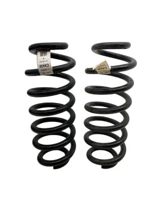2021-2024 Ford Bronco Sport Suspension Coil Spring Set - Rear (Used OEM)