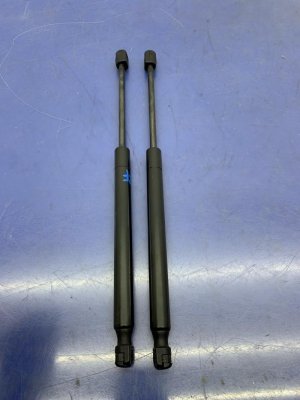 2021-2025 Ford F-150 Hood Lift Support Strut Set - Front (Used OEM)