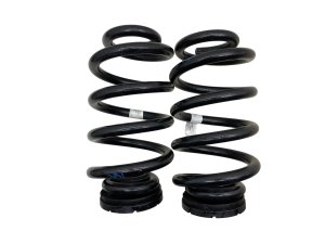 2022-2025 Lucid Air Rear Coil Spring Set (Used OEM)