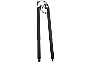 2019-2025 Audi Q8 Power Tailgate Lift Support Set - Rear (Used OEM)