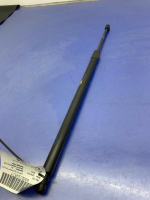 2021-2025 Ford Bronco Sport Liftgate Lift Support Strut - Rear, Left (Driver) (Used OEM)
