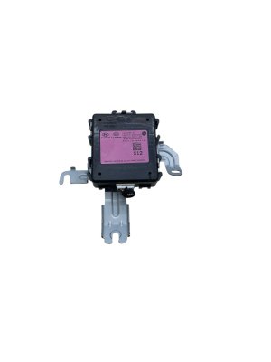 2022-2023 Hyundai Ioniq 5 Keyless Entry and Theft Control Module (Used OEM)