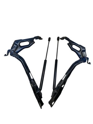 2015-2020 Ford F-150 Hood Hinge and Lift Support Strut Set - Front, Left (Driver) (Used OEM)