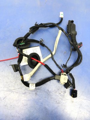 2020-2022 Hyundai Palisade Door Wiring Harness - Rear, Right (Passenger) (Used OEM)