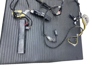 2018-2020 Ford Expedition Black Overhead Headliner Wiring Harness with Dome and Courtesy Lamps (Used OEM)
