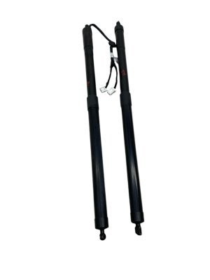 2022-2025 Acura MDX Power Tailgate Lift Strut Set - Rear (Used OEM)
