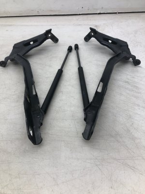 2015-2020 Ford F-150 Hood Hinge with Lift Support Strut - Front, Left (Driver) (Used OEM)
