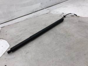 2020-2022 Hyundai Palisade Power Tailgate Lift Strut - Rear, Left (Driver) (Used OEM)
