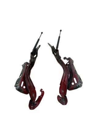 2021-2025 Ford F-150 Hood Hinge and Strut Assembly Set - Front, Right (Passenger) (Used OEM)